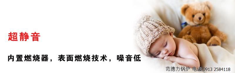 全預(yù)混低氮硅鋁冷凝燃?xì)忮仩t
